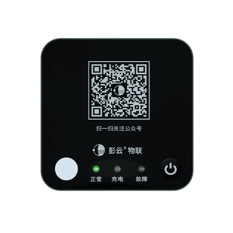 C10A 远程温湿度计